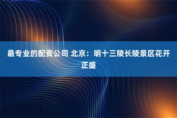 最专业的配资公司 北京：明十三陵长陵景区花开正盛